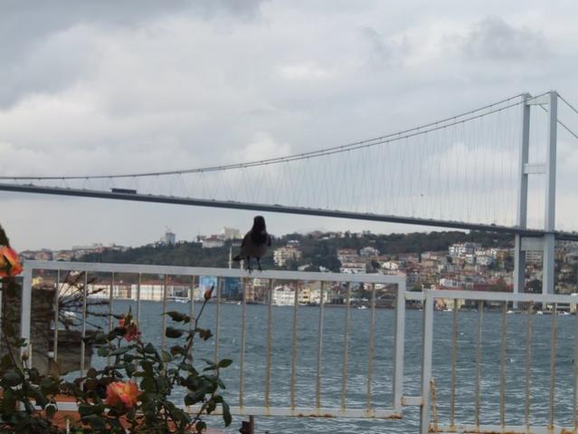 Name:  DSCF8735.jpg
Views: 446
Size:  39.0 KB