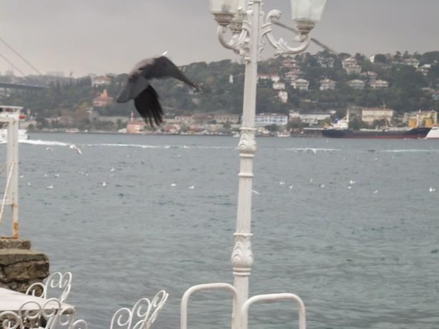 Name:  DSCF8753.jpg
Views: 470
Size:  35.2 KB