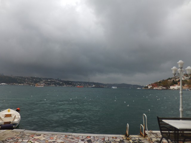 Name:  DSCF8744.jpg
Views: 438
Size:  56.8 KB
