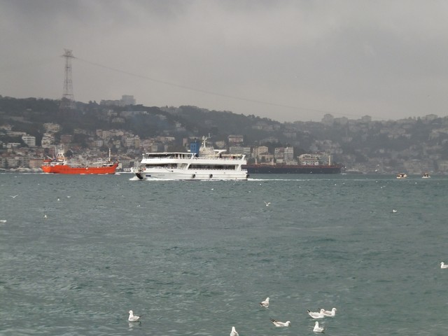 Name:  DSCF8745.jpg
Views: 469
Size:  64.6 KB