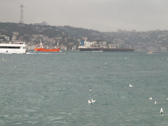Name:  DSCF8746.jpg
Views: 464
Size:  68.3 KB