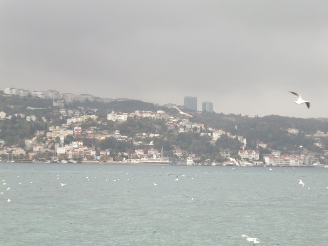 Name:  DSCF8752.jpg
Views: 470
Size:  57.7 KB