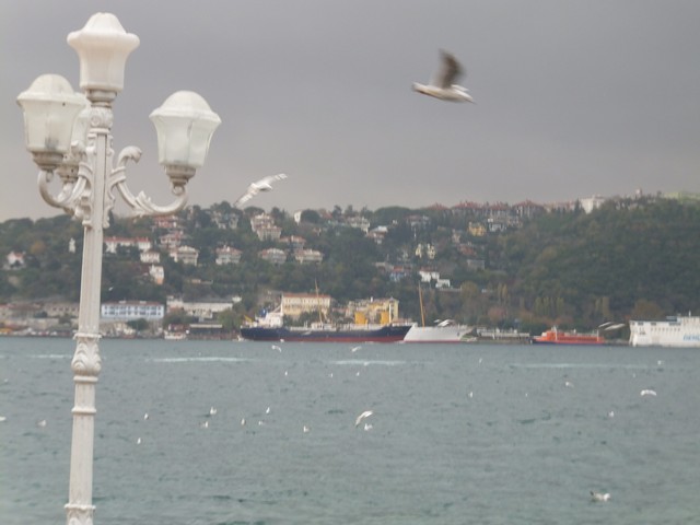 Name:  DSCF8754.jpg
Views: 432
Size:  58.1 KB