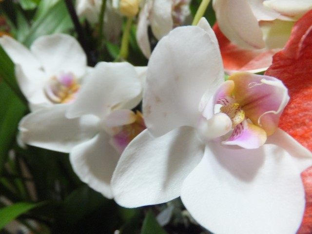 Name:  DSCF8923.jpg
Views: 555
Size:  58.5 KB