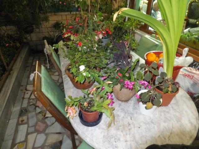 Name:  DSCF8968.jpg
Views: 481
Size:  53.2 KB