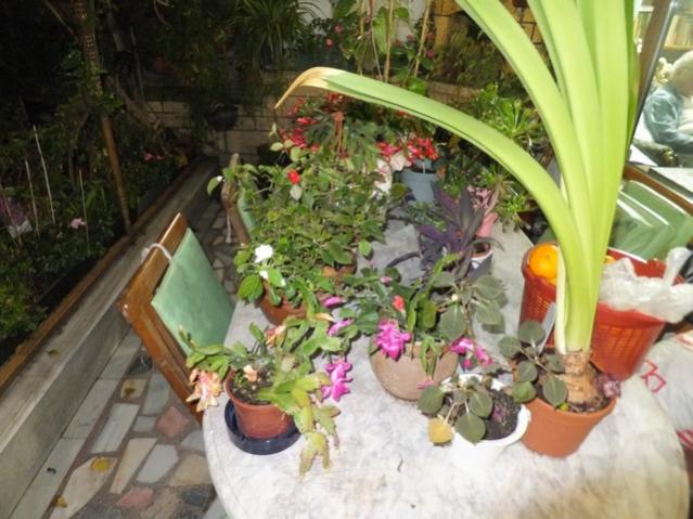 Name:  DSCF8969.jpg
Views: 483
Size:  54.1 KB