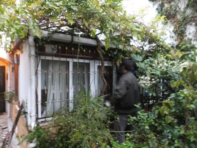 Name:  DSCF8988.jpg
Views: 544
Size:  61.7 KB