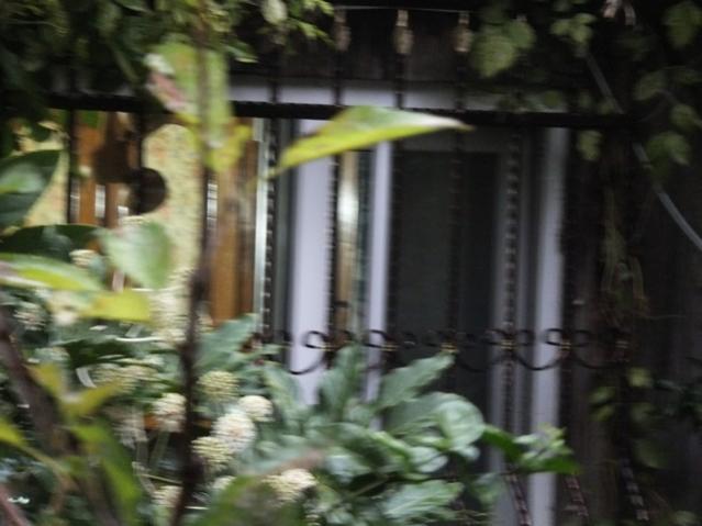 Name:  DSCF8990.jpg
Views: 460
Size:  37.7 KB