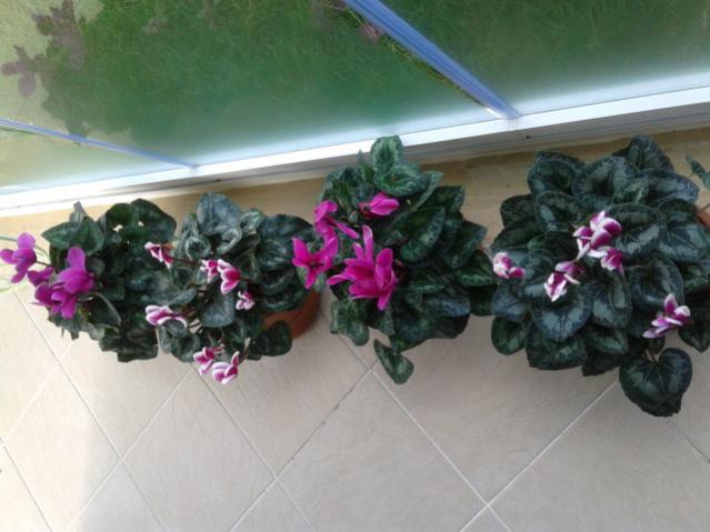 Name:  20130102_124652.jpg
Views: 844
Size:  40.0 KB