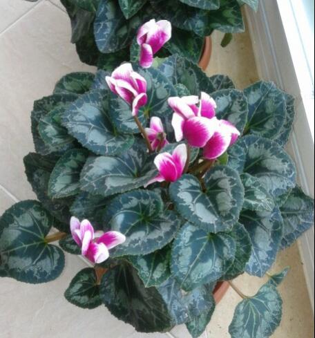 Name:  20130102_124701-1.jpg
Views: 985
Size:  40.9 KB
