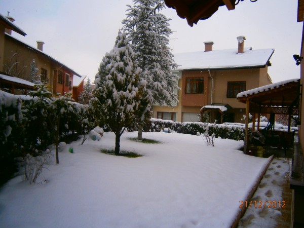 Name:  PC210762 (600 x 450).jpg
Views: 755
Size:  64.9 KB