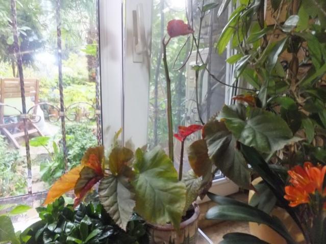 Name:  DSCF9005.jpg
Views: 347
Size:  51.1 KB