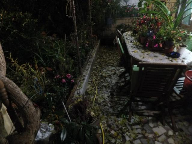 Name:  DSCF9008.jpg
Views: 332
Size:  44.2 KB