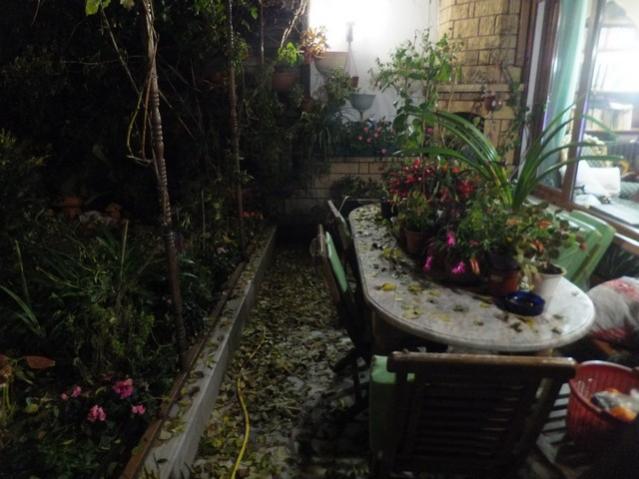 Name:  DSCF9009.jpg
Views: 338
Size:  45.1 KB
