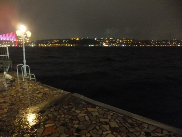 Name:  DSCF9014.jpg
Views: 334
Size:  66.5 KB