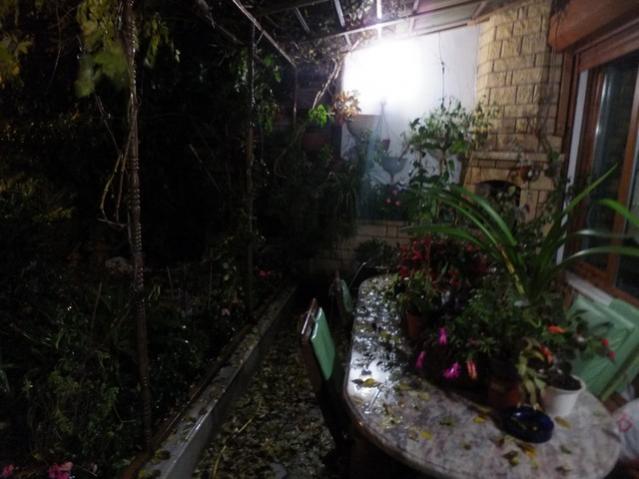 Name:  DSCF9018.jpg
Views: 314
Size:  41.3 KB