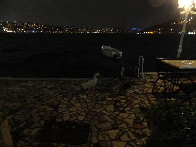 Name:  DSCF9020.jpg
Views: 327
Size:  62.8 KB