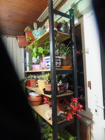 Name:  DSCF9026.jpg
Views: 316
Size:  58.9 KB
