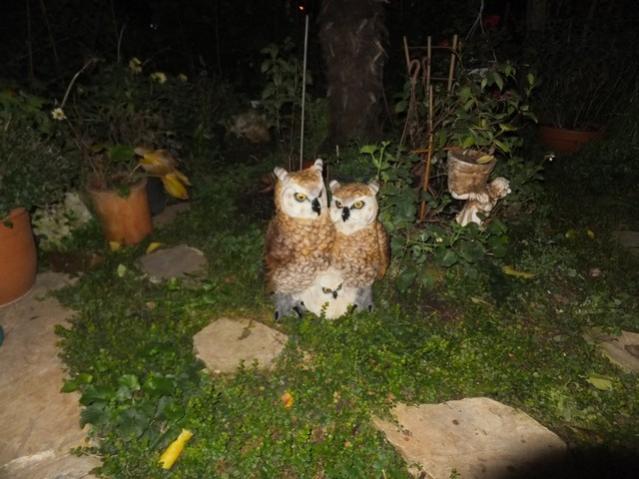 Name:  DSCF9030.jpg
Views: 307
Size:  47.8 KB
