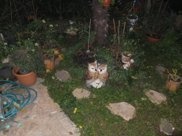 Name:  DSCF9037.jpg
Views: 318
Size:  50.4 KB