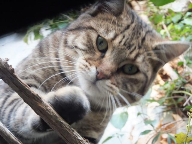 Name:  DSCF9064.jpg
Views: 323
Size:  44.4 KB