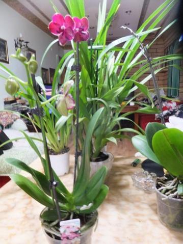 Name:  DSCF9178.jpg
Views: 302
Size:  34.8 KB