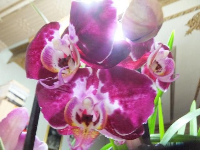 Name:  DSCF9189.jpg
Views: 311
Size:  36.9 KB