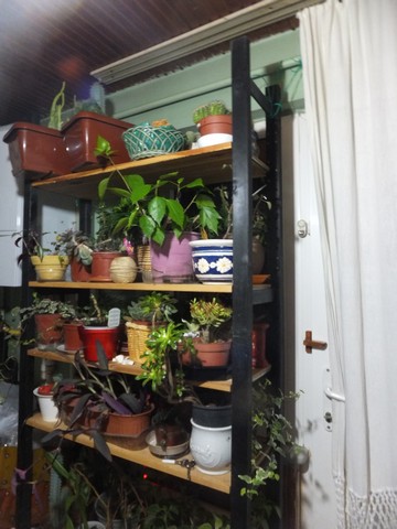 Name:  DSCF9215.jpg
Views: 351
Size:  62.1 KB