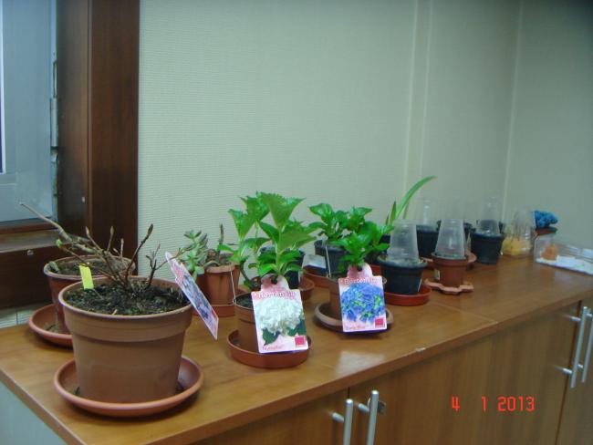 Name:  DSC01988.jpg
Views: 342
Size:  34.3 KB