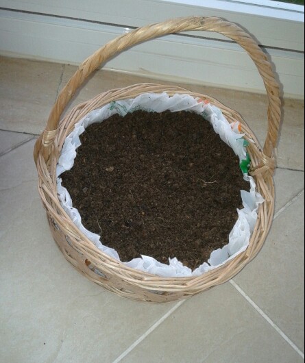 Name:  20130105_164038-1.jpg
Views: 853
Size:  62.1 KB