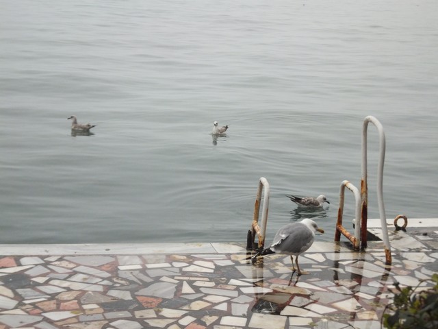 Name:  DSCF9996.jpg
Views: 427
Size:  68.0 KB