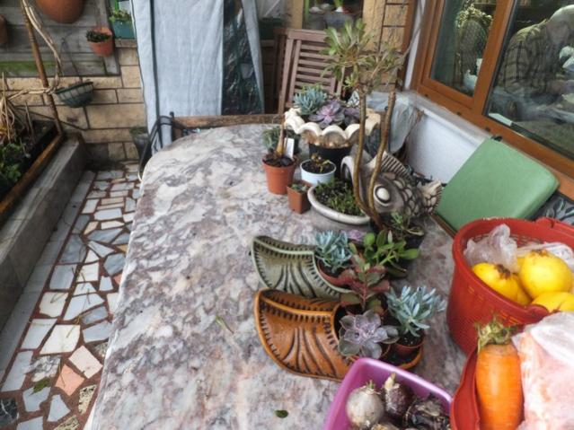 Name:  DSCF0002.jpg
Views: 386
Size:  59.8 KB