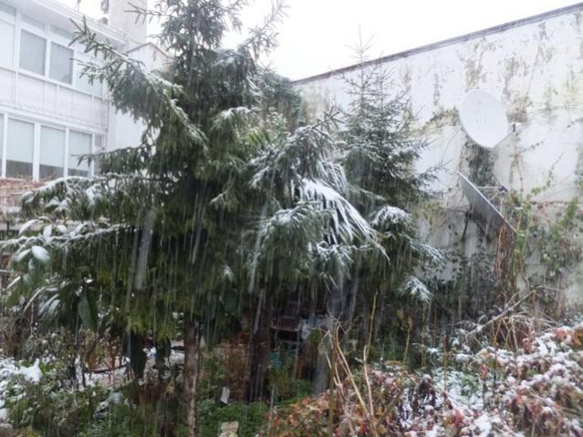 Name:  DSCF0010.jpg
Views: 402
Size:  62.4 KB