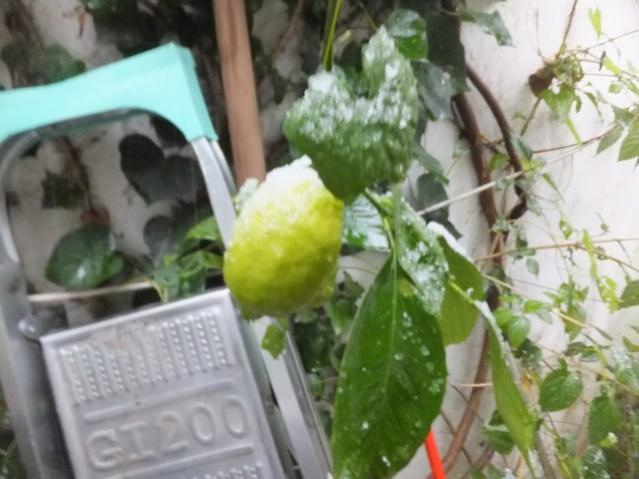 Name:  DSCF0018.jpg
Views: 391
Size:  41.9 KB