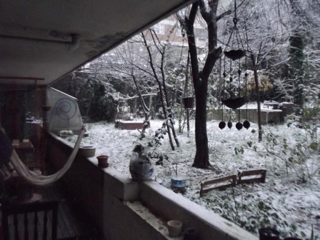 Name:  DSCF1812.jpg
Views: 1289
Size:  57.1 KB