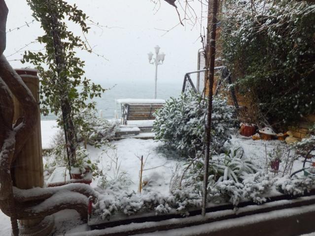 Name:  DSCF0019.jpg
Views: 354
Size:  61.0 KB