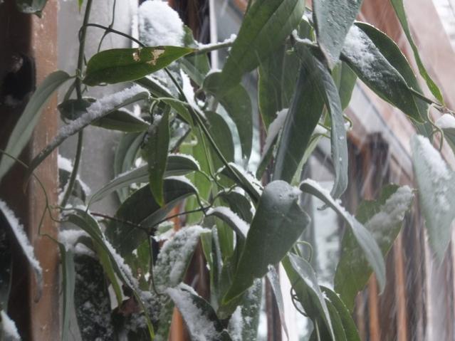 Name:  DSCF0041.jpg
Views: 299
Size:  46.3 KB