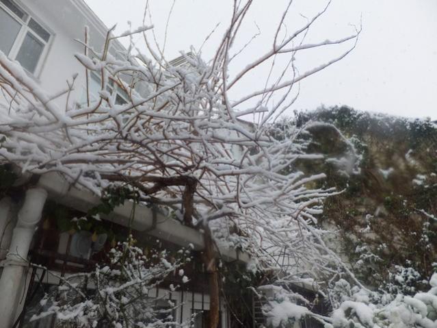 Name:  DSCF0046.jpg
Views: 367
Size:  54.3 KB