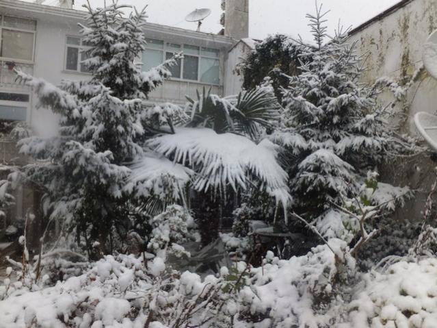 Name:  DSCF0052.jpg
Views: 561
Size:  62.9 KB