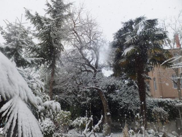 Name:  DSCF0062.jpg
Views: 316
Size:  65.5 KB