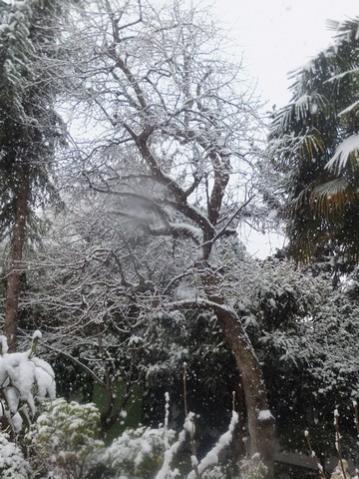 Name:  DSCF0063.jpg
Views: 478
Size:  44.6 KB