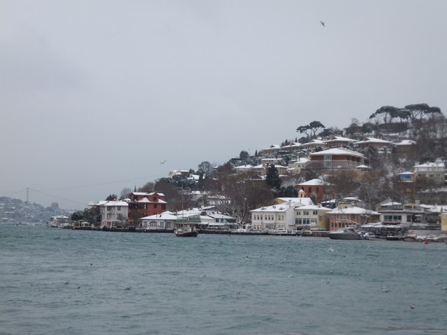 Name:  DSCF0068.jpg
Views: 470
Size:  63.7 KB