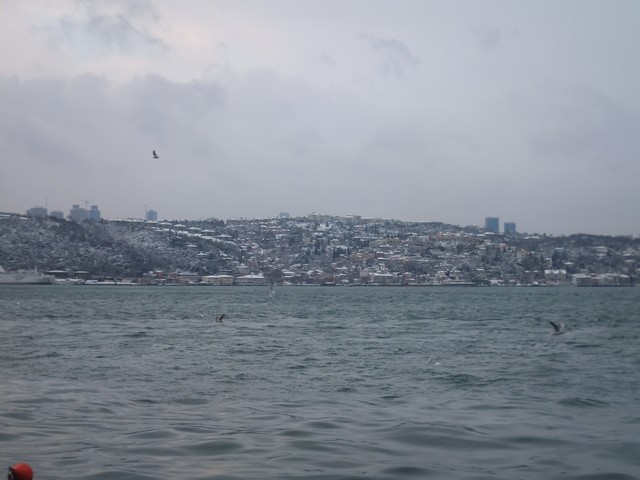Name:  DSCF0073.jpg
Views: 494
Size:  62.1 KB