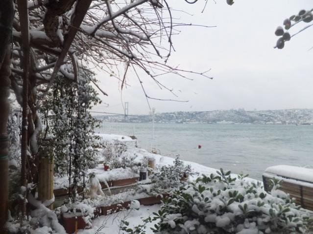 Name:  DSCF0085.jpg
Views: 465
Size:  54.2 KB