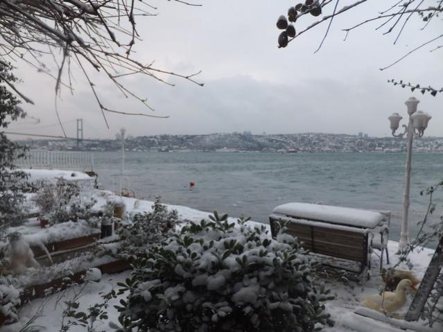 Name:  DSCF0086.jpg
Views: 484
Size:  48.5 KB