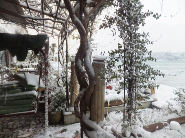 Name:  DSCF0087.jpg
Views: 458
Size:  61.7 KB