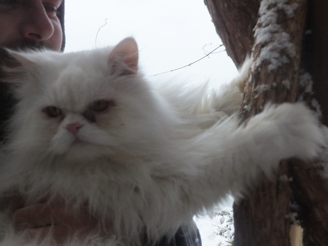 Name:  DSCF0082.jpg
Views: 459
Size:  54.8 KB