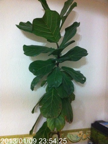 Name:  008.jpg
Views: 530
Size:  45.6 KB