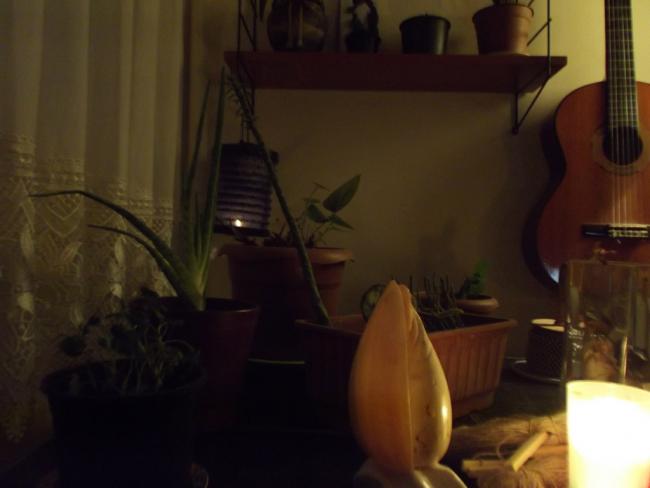Name:  DSCF1883.jpg
Views: 1271
Size:  25.1 KB