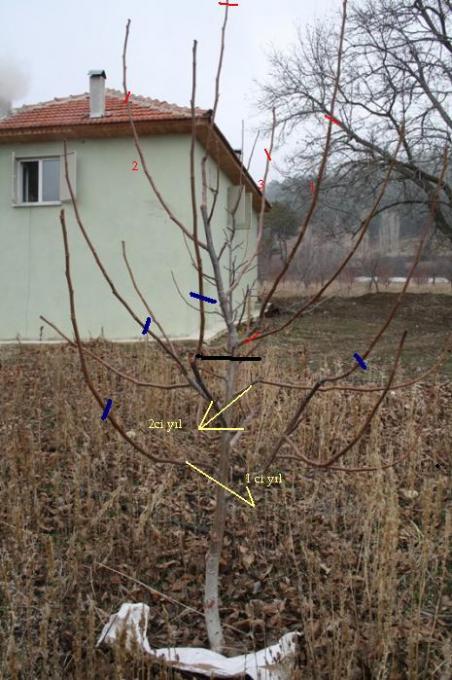 Name:  02.jpg
Views: 1625
Size:  62.5 KB